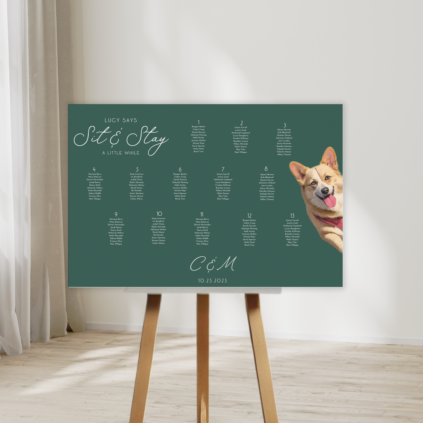 Fido Says Sit & Stay Dog Wedding Seating Chart
